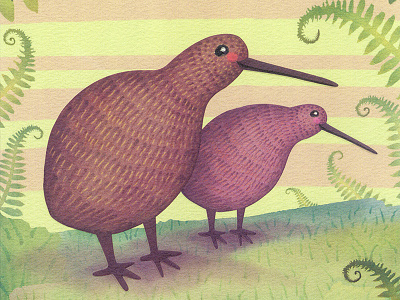 Kiwis bird cute greeting cards kiwi kiwis new zealand