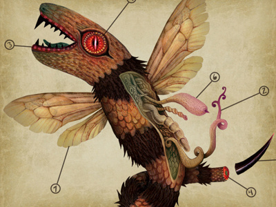 Ampikyy anatomy ampikyy animal creature illustration monster snake bee