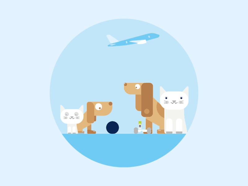 Pets & Animal Illustration airline airplane airport animal animation baggage buggy illustration motion pets