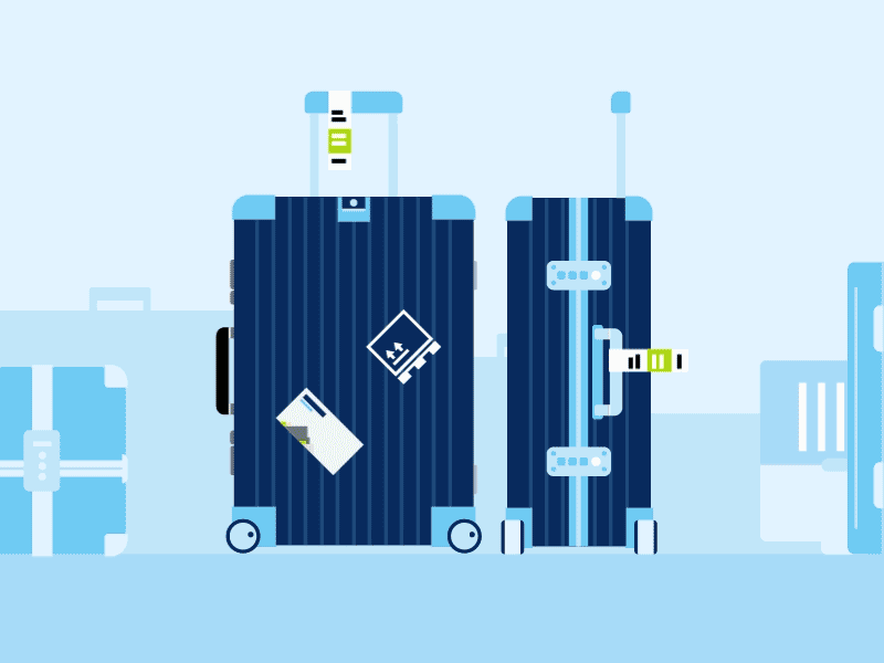 Luggage animation airline animation flat design gravitation illustration luggage newton sinnerschrader vector design