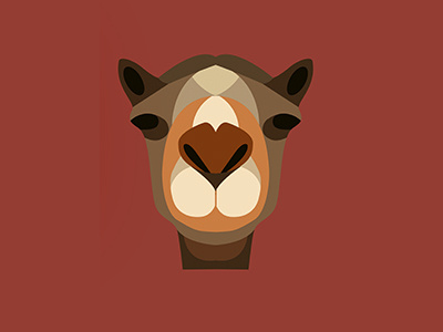 Camel Illustration