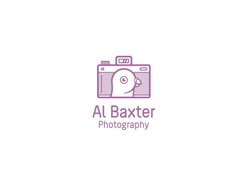 Al Baxter Photography al baxter all the pretty colors nathan walker brand photography pigeon camera logo