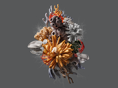 Make: Coral Composition 3d abstract blender colors composition design illustration organic render