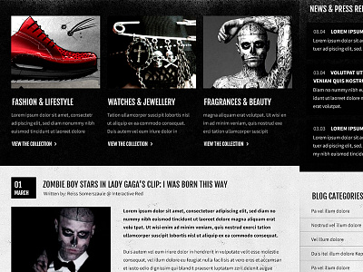 Zombie Boy Ecommerce Website Design