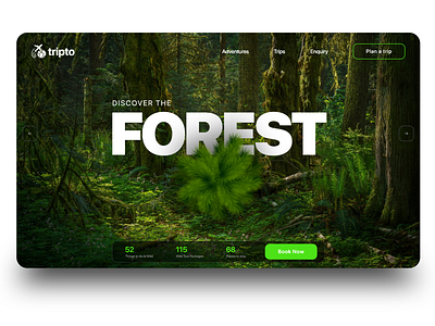 Forest Adventure Concept