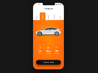 Tesla automobile ride