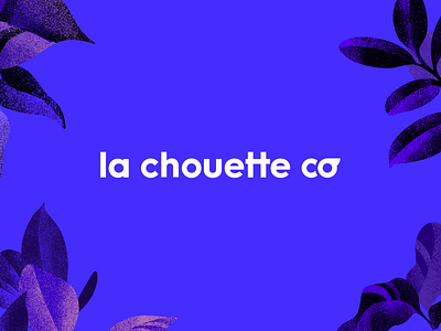 La Chouette Co — Animation logo animation branding chouette design identity logo mascot owl studio