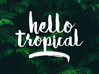 Hello Tropical brush fast font hand draw hand lettering ink lettering ligature marker type typeface