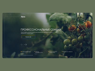Professional seeds agriculture creative design onepage sseds ui ux семена