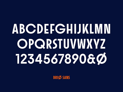 Brio Sans | Custom Typeface branding custom design lettering logo type typedesign typeface