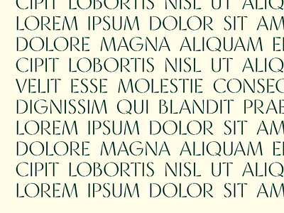 Xilotipo bespoke custom font lettering logo stencil type typedesign typeface typography