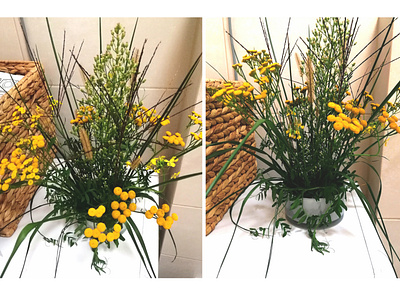 Floristic: composition of field herbs floristic