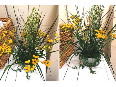 Floristic: composition of field herbs