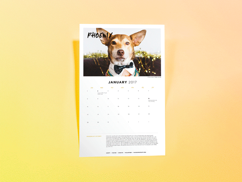 Save Our Scruff 2017 Calendar calendar design dog dog rescue gradient layout