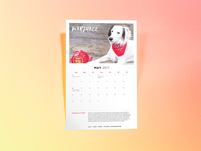 SOS Calendar calendar design dog dog rescue gradient layout