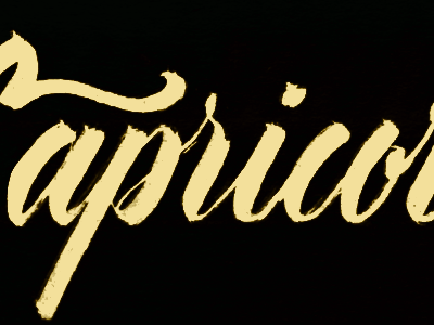 Capricorn brush calligraphy grunge hand lettering lettering micron sakura type typography