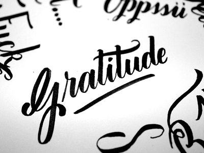 Gratitude brush brush pen cursive end flourishes hand drawn hand lettering lettering markers script type