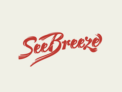 SeeBreeze breeze fluid lettering logo motion photography see type wordmark