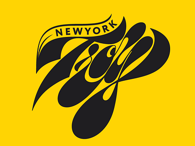 Troy, NY cursive curves experimental hand lettering lettering newyork playful troy type typography