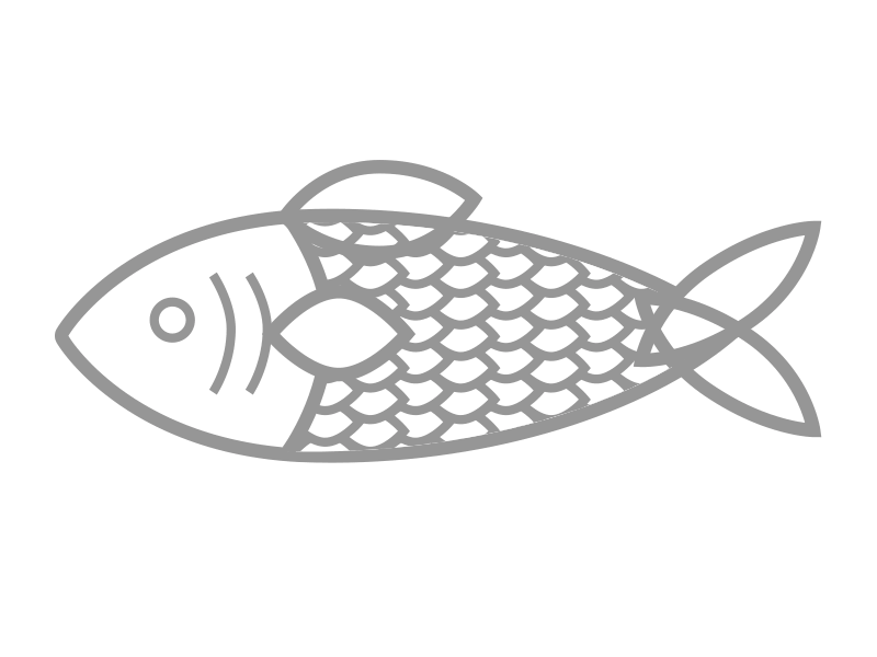 Fish Logo Exploration fish illustration logo