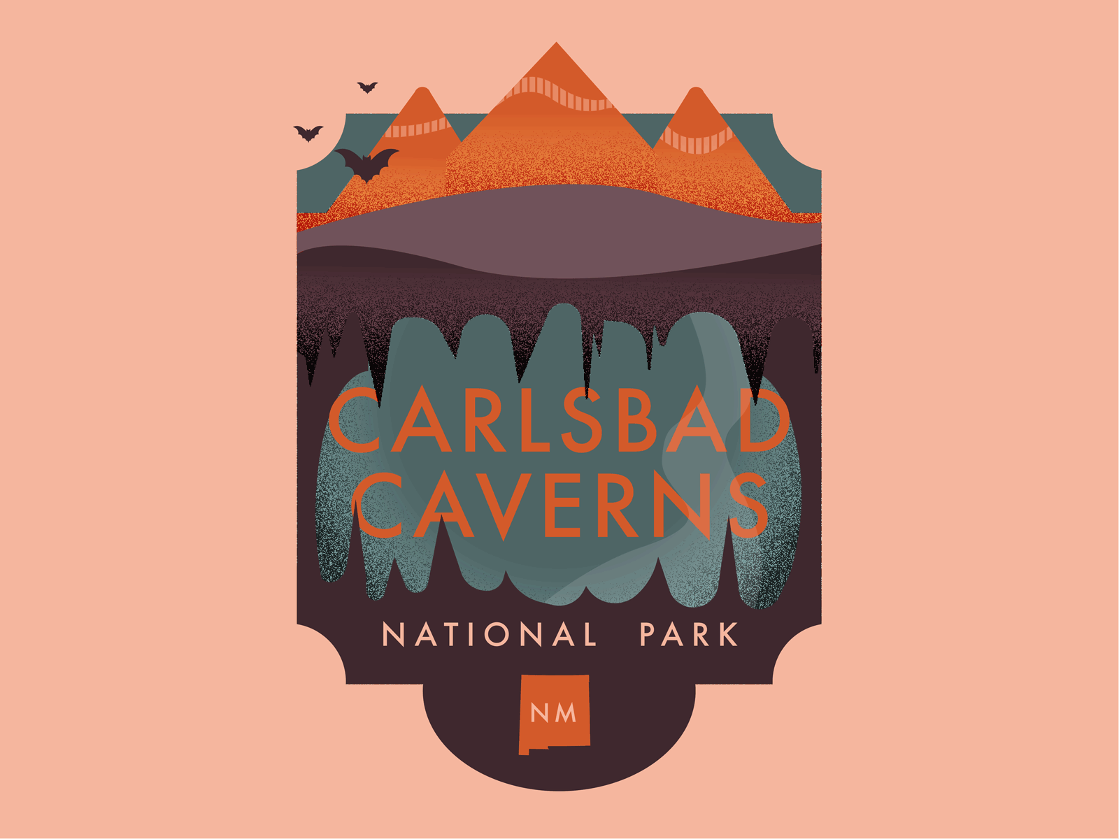 Carlsbad Caverns National Park motion graphic illustrator vacation travel cave mountains bat new mexico carlsbad caverns nature national parks