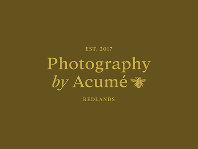 Acume Photography bee branding drawing illustration photographer photography typedesign typeface