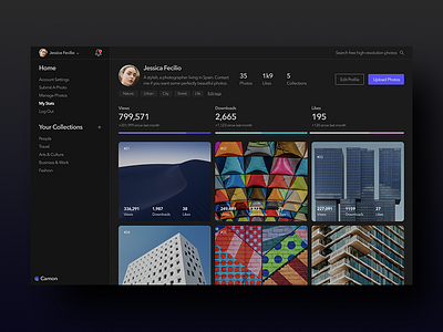 User Profile Dark Theme