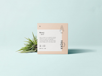 Brand Identity & Packaging Design