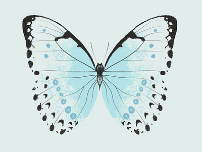 Mint Morpho Butterfly antenna bug butterfly illustration insect procreate