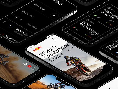 World Champion Rally behance branding design interface ui ux web webdesign
