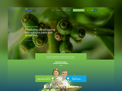 Produquímica behance design interface layout ui ux web design