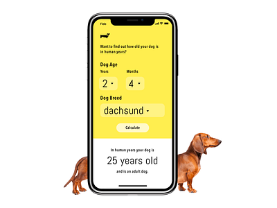 Day 4 calculator conceptdesign dachshund dailyui dailyui 004 dailyuichallenge design dog iphonex mobile mobile app mobile app design mobileui ui