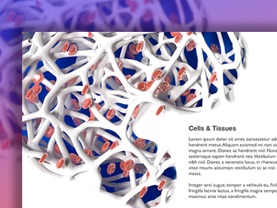 Cells & Tissues