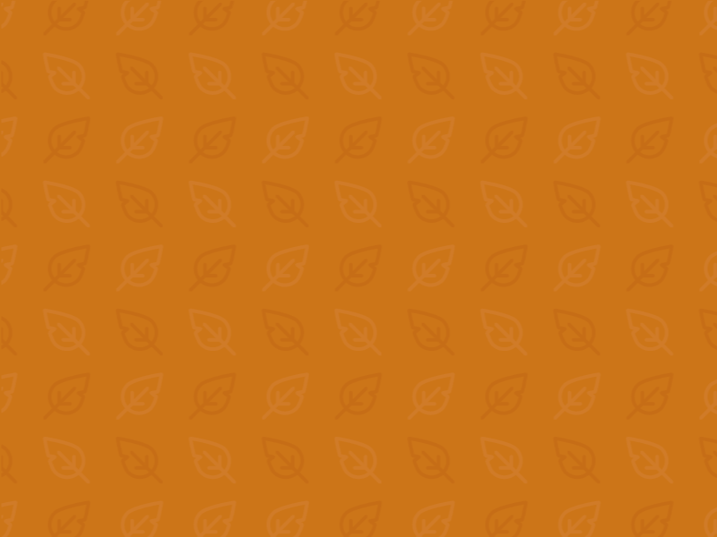 Thanksgiving Thank You (Gif) after effects animated type animation autumn gif pattern stroke subtle pattern thanksgiving