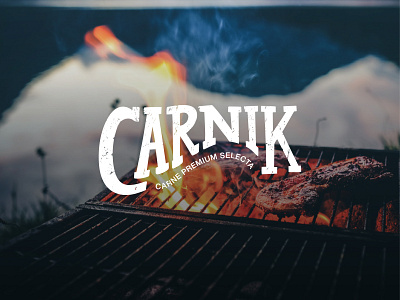 Carnik Logo branding design flat logo typography vector