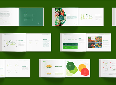 Herencia de Campo Branding Manual branding branding and identity branding guidelines design flat illustration logo manual de marca vector