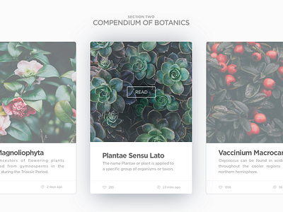 Wiki designs, themes, templates and downloadable graphic elements on  Dribbble