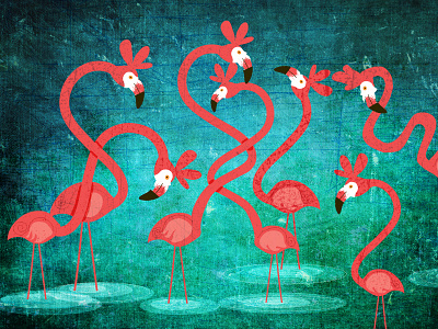 Pink Flamingos animals birds blue flamingo illustration nature pink red water