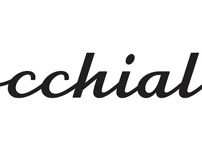 Italian script custom type hand lettering lettering logotype type vector