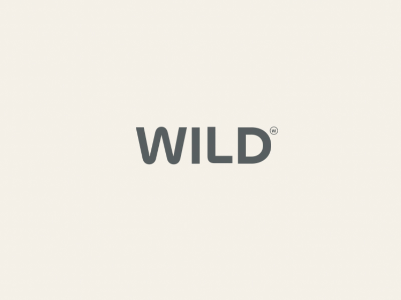 WILD - Logo evolution animation belgië brand branding design illustration logo moqo motion graphics wild
