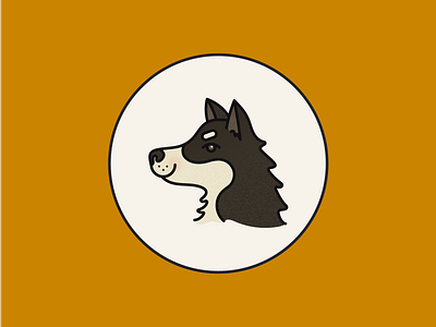 Lucy branding digital illustration dog illustration portrait