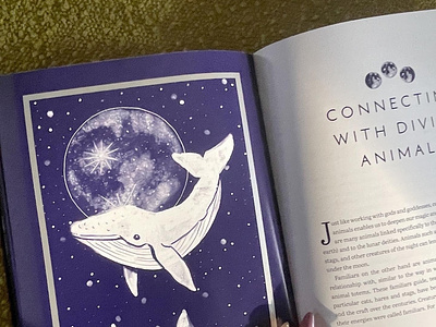 Illustration: Enchanted Moon book branding design digital illustation graphic design illustration product design tarot whale
