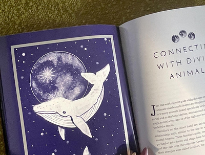 Illustration: Enchanted Moon book branding design digital illustation graphic design illustration product design tarot whale