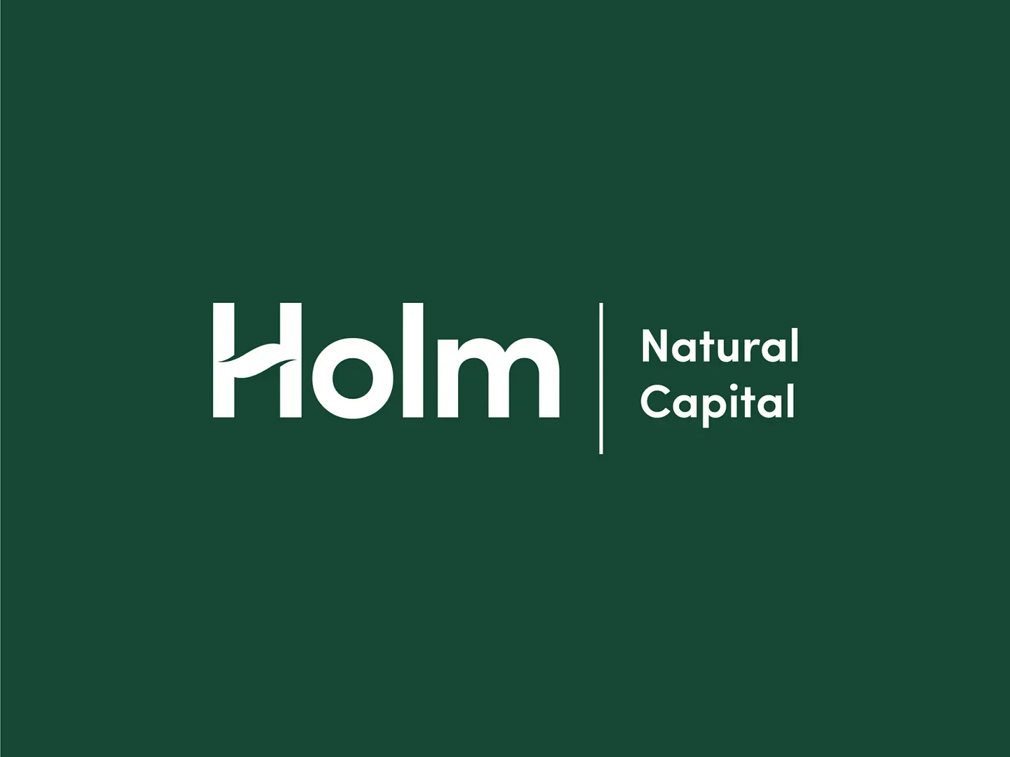 Sustainable Branding: Holm Natural Capital Logo Design