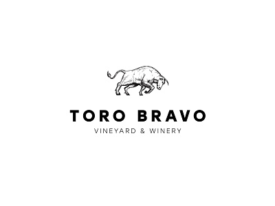 Toro Bravo Logo badge bull classy detailed drawing etch etching lines logo mark minimal modern traditional vector vineyard wine winery