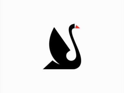 Black swan logo design branding design graphic design logo vector