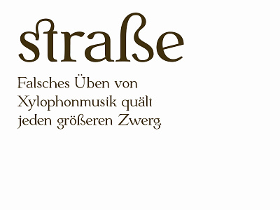 mini specimen for Ferdinand german type design typeface typography