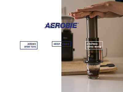 Aerobie Home