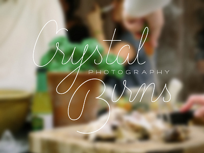 Final Crystal Birns logomark lettering logo typography