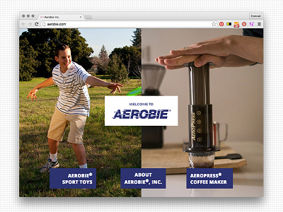 New Aerobie.com website